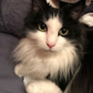 Meet your Posher, Catherine